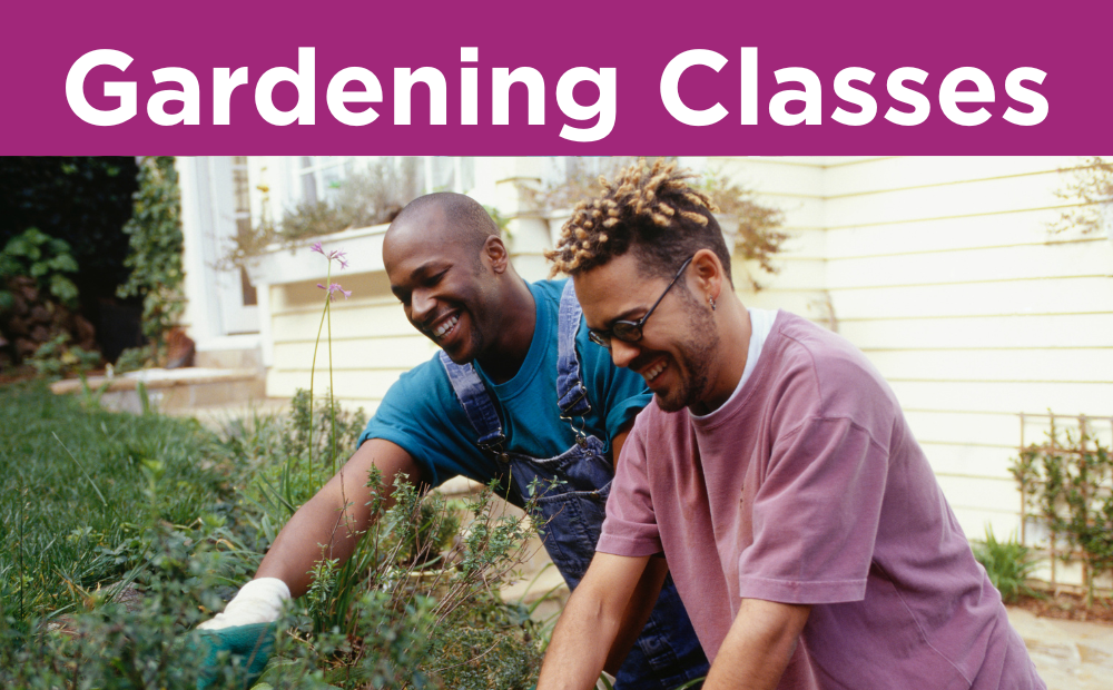 Gardening Classes at Madison Public Library