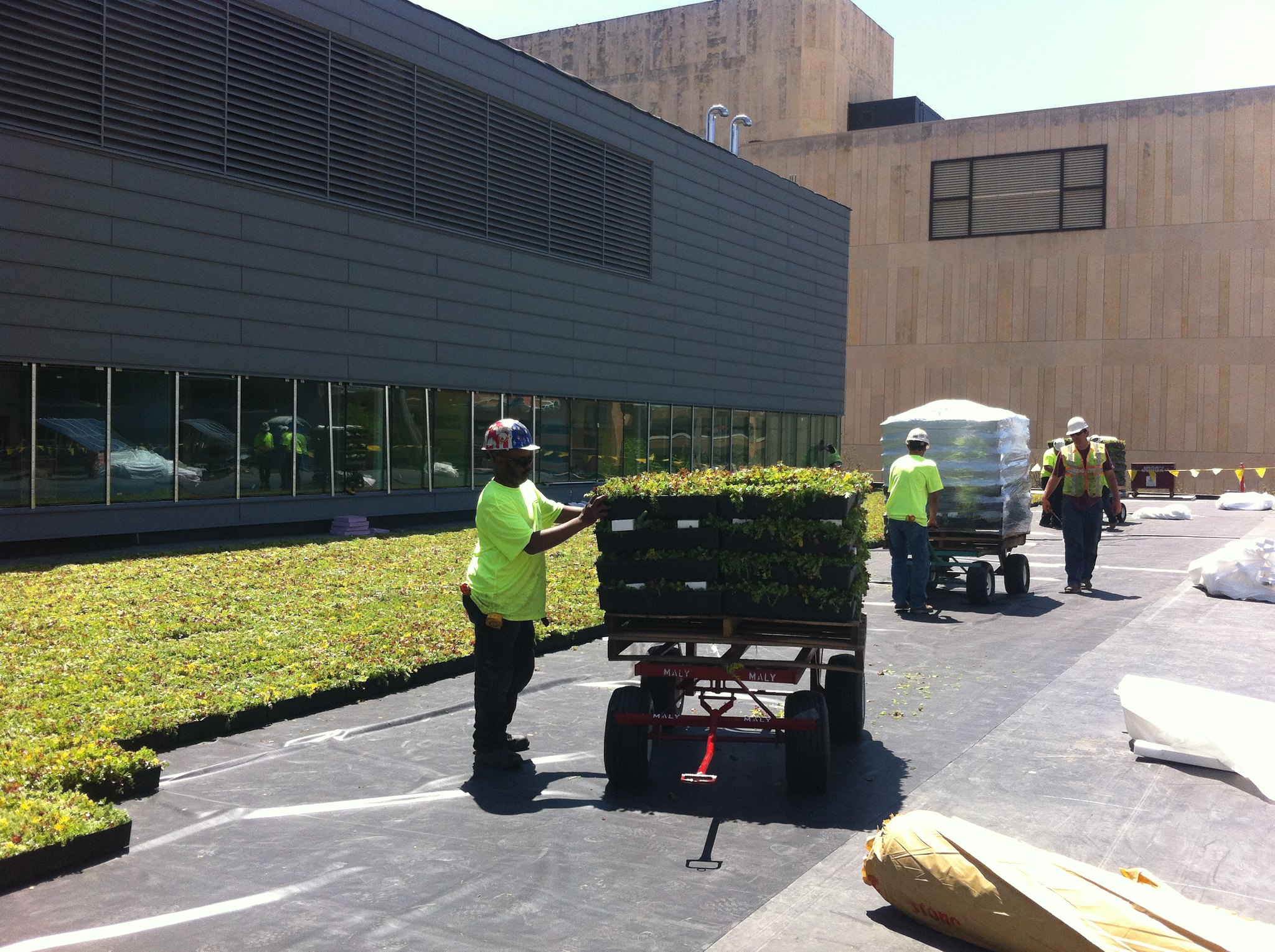 Construction of Central Library's green roof