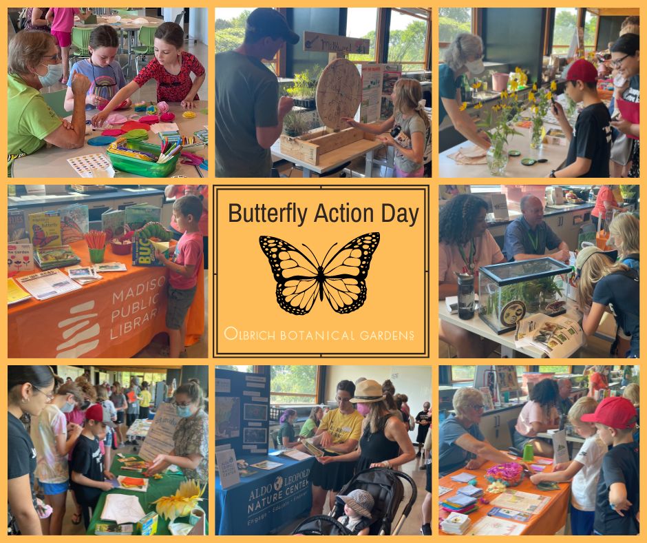Butterfly Action Day at Olbrich Gardens