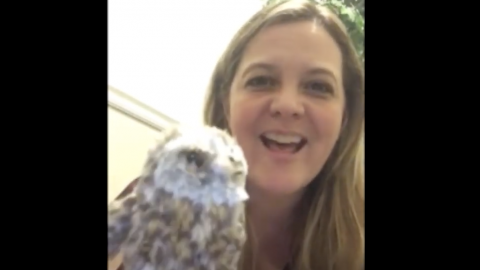 woman with an owl puppet