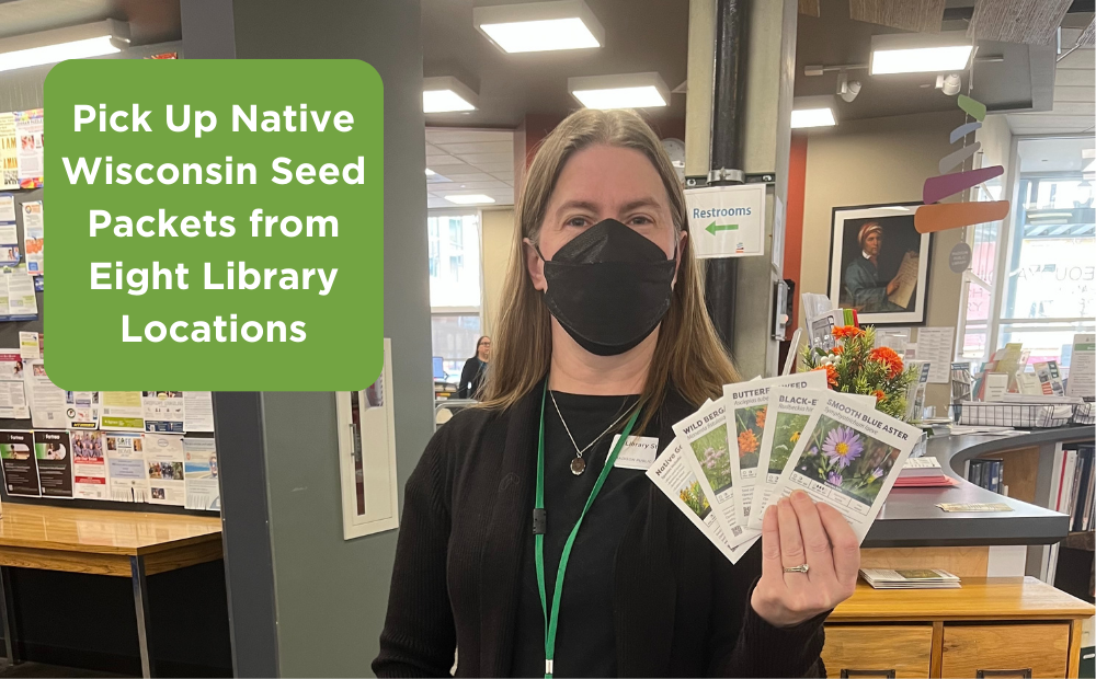 Native Wisconsin Seeds are available now at 8 participating seed libraries from Madison Public Library