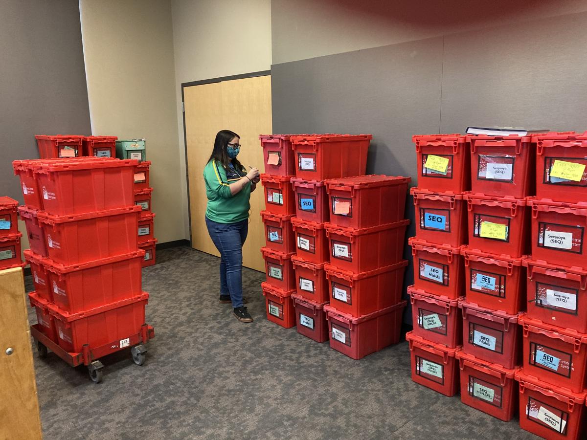 Emer Dahl surrounded by red bins of books