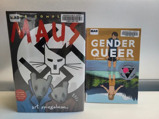 Graphic Novel Book Club Kits at Madison Public Library