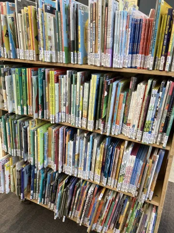 Shelves of new picture books 