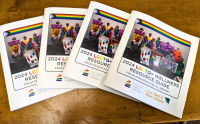 2024 LGBTQ+ Wellness Guide from Madison Public Library